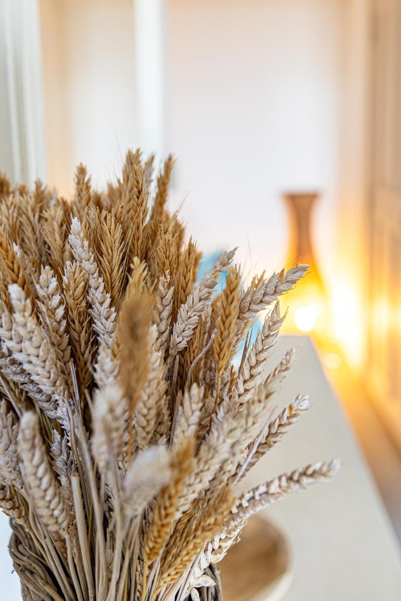 Maison Bournissac Noves المظهر الخارجي الصورة