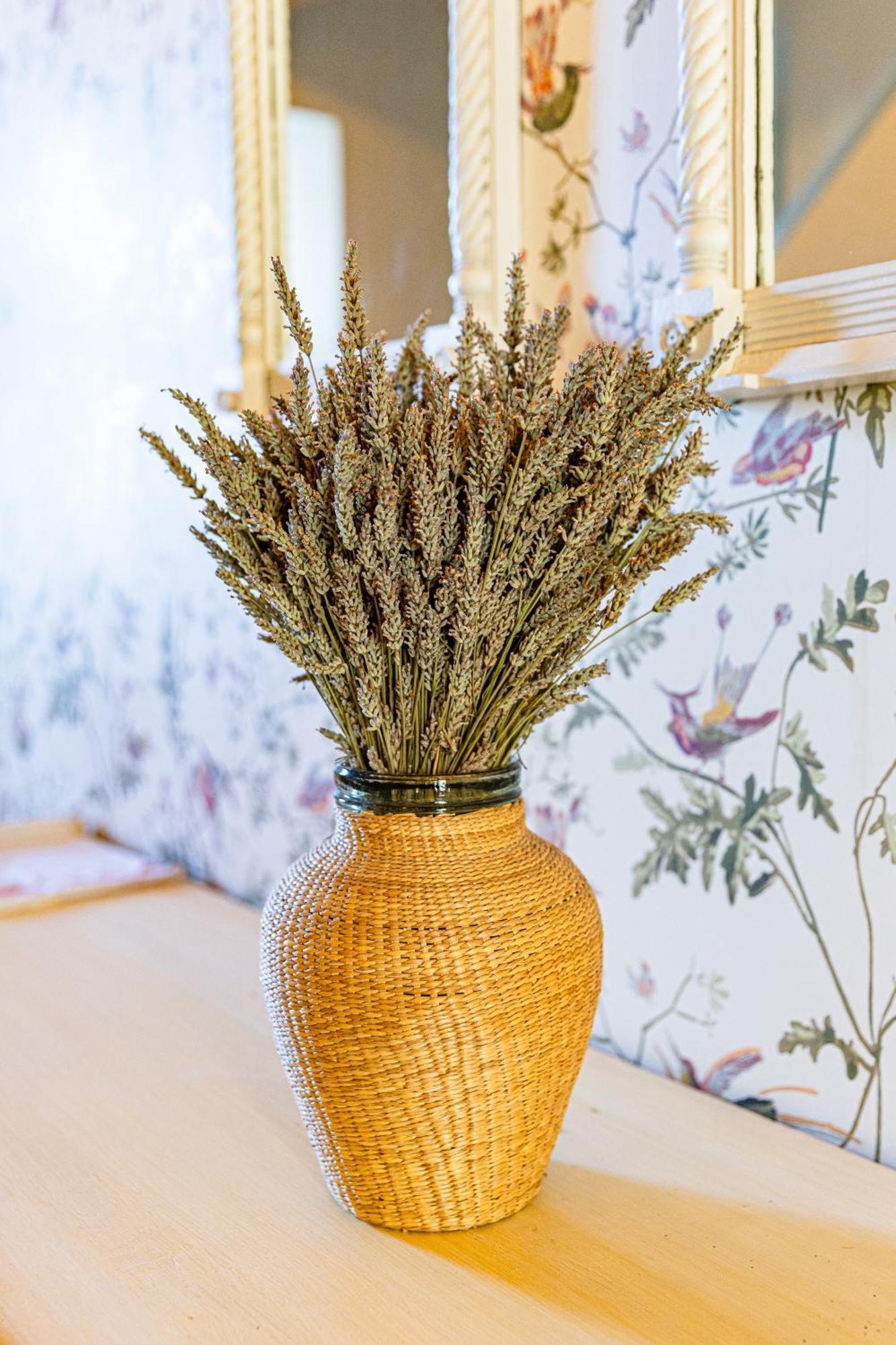 Maison Bournissac Noves المظهر الخارجي الصورة